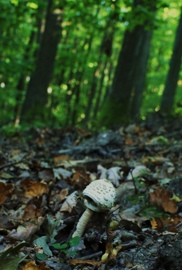 na desiatom kilometri