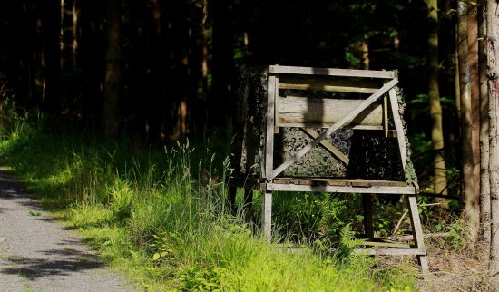 posed prízemný,prícestný