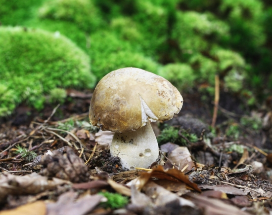 žiadny krásavec ale potešil