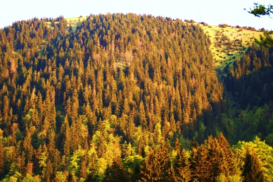 borišov pred západom slnka