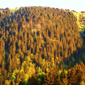 borišov pred západom slnka