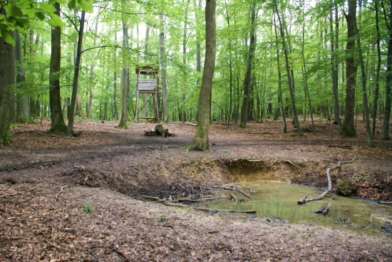 kalužisko,solisko,posedisko