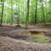 kalužisko,solisko,posedisko