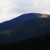 majestátny Borišov 1510mnm