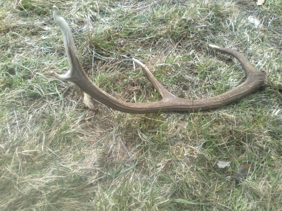 konečne sa šťastie usmialo