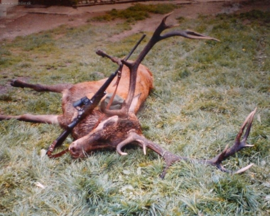 15 rocny jelenisko 199 b.