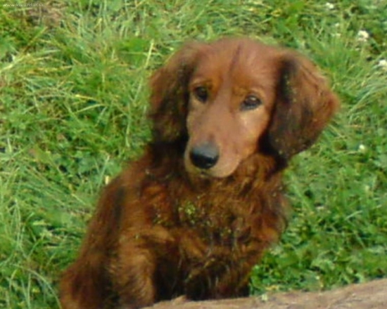 Po uspesnej dohladavke