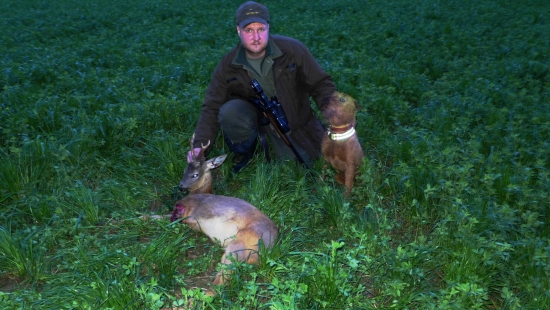 Srnec poľný - trojnohý