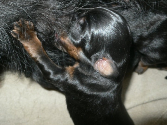 To mliečko tak chutí