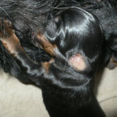 To mliečko tak chutí