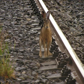 Zbadal nás dosť neskoro. Prišiel na 3 metre.....