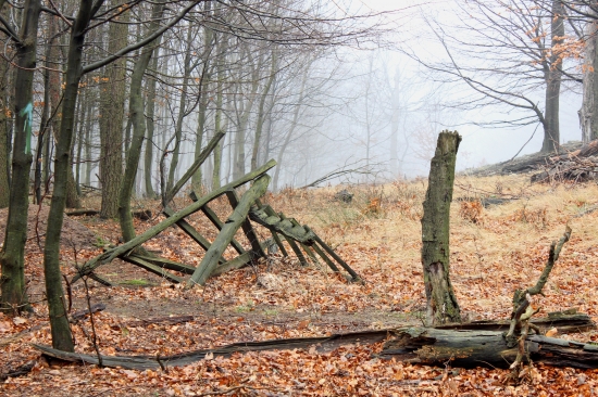 keď tu kedysi bol oplotok....