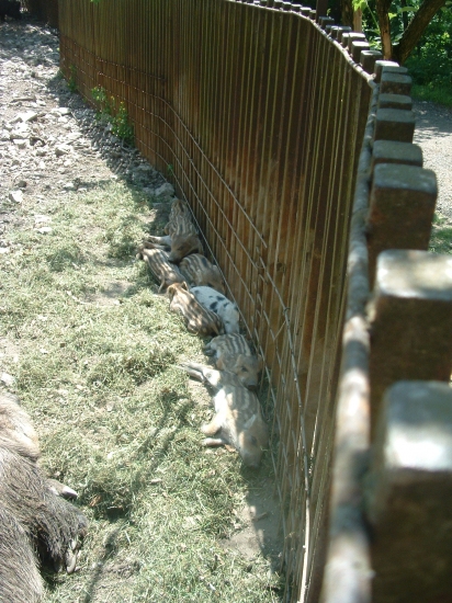 odpočinok
