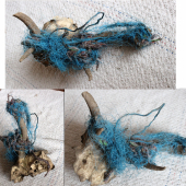 obeť elektrického oplotku