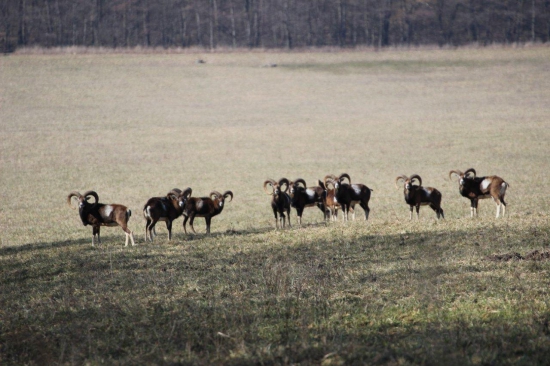 na slniečku