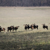 na slniečku