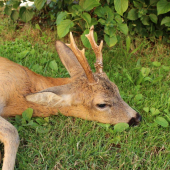 spomienka na leto 2014