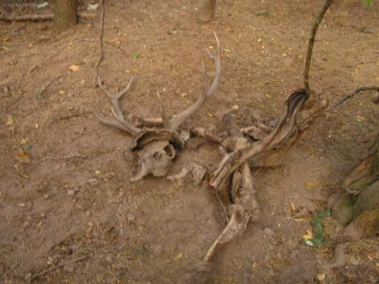 Nájdené počas dohľadávky