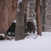 Prekvapenie pri dnešnom kŕmení