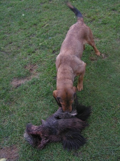 už môže na kontakt