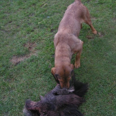 už môže na kontakt