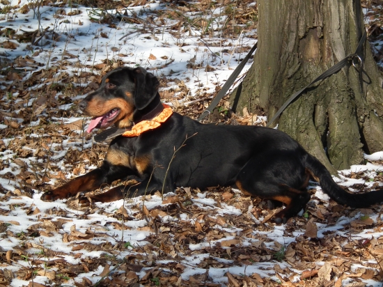 Aslan,odpocinok po dvihnuti poriadneho kanca