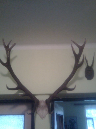 Môj prvý párik :)