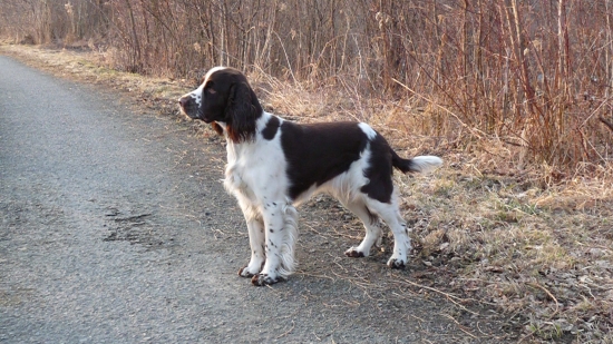 Kessi - póza pro fotografa :)