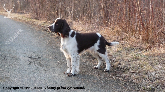 Kessi - póza pro fotografa :)
