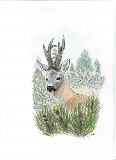 A4, pero+pastelky+olejové pastely