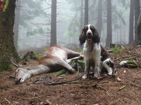 Kessi na předběžných zkouškách barvářů