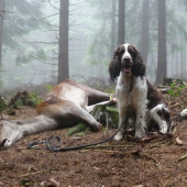 Kessi na předběžných zkouškách barvářů