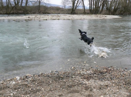 upřímná láska k vodě