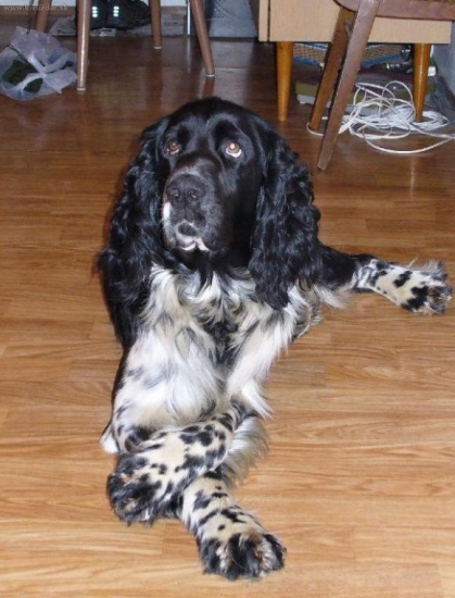 copak asi bude dobrého...