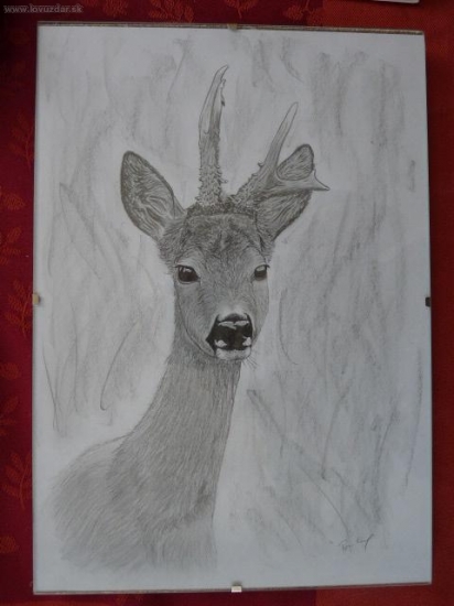 srnec - tužka
