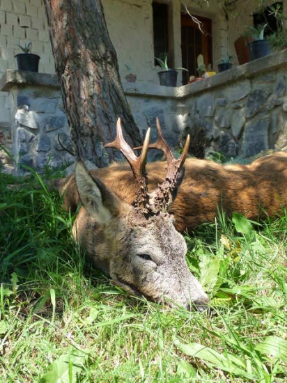 sobotní čekaná 2