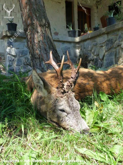 sobotní čekaná 2