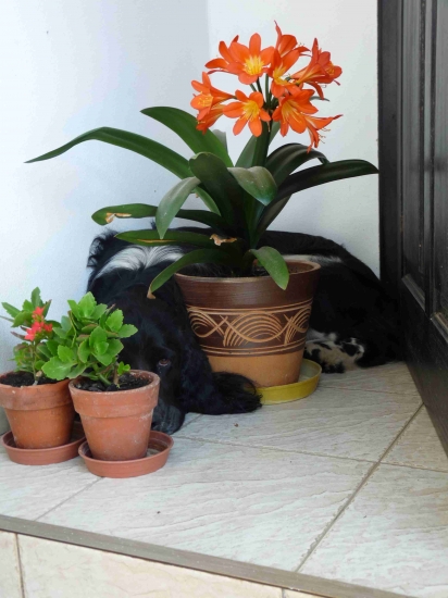 úkryt před horkem :)