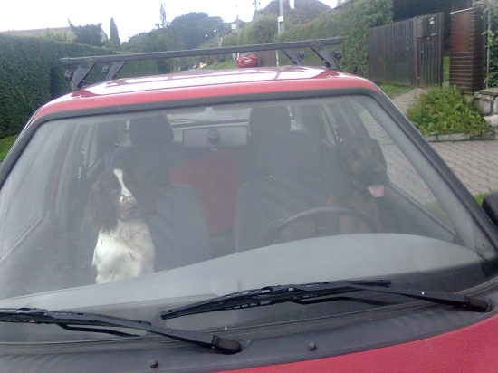 řidič a závozník :)