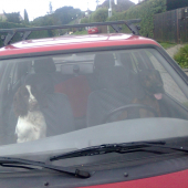 řidič a závozník :)