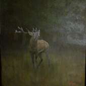 moje práce - jelen akryl