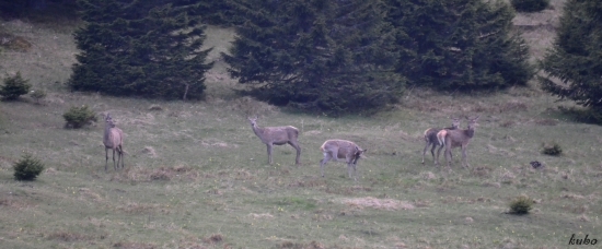 večerná pohoda