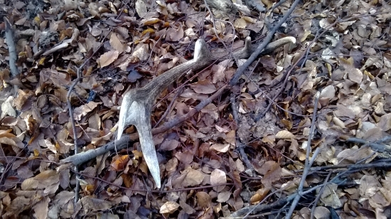 Vlaňajší, ale vždy poteší