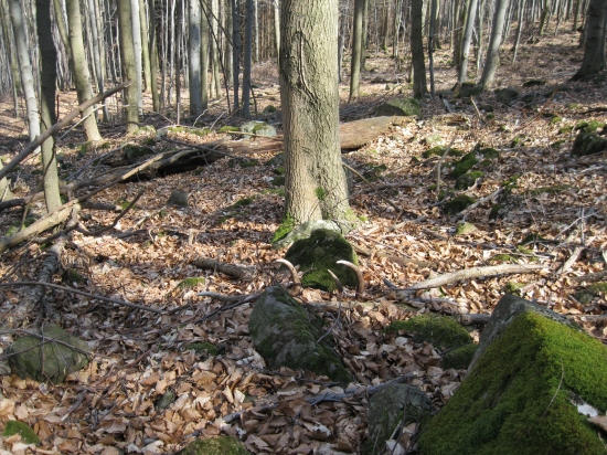 minulorocny 10 torak z nedele