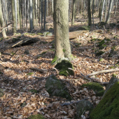 minulorocny 10 torak z nedele