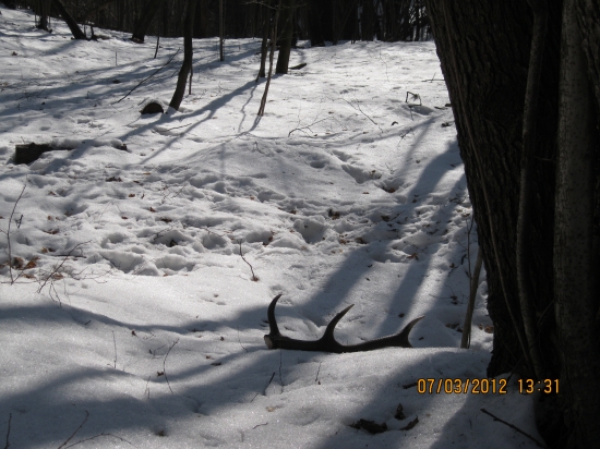 dnešny prvy v tomto roku 1.5kg
