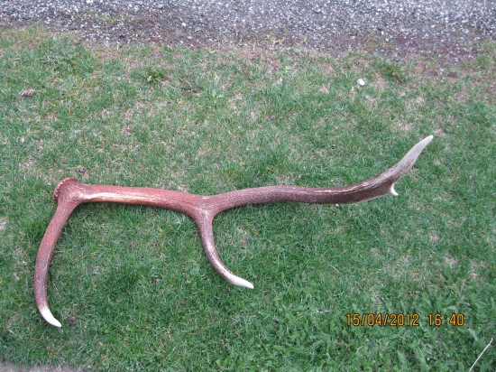 škodník 2.1kg a 105cm