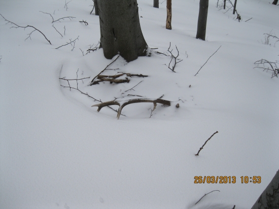 Švagrov prvý tohto roku