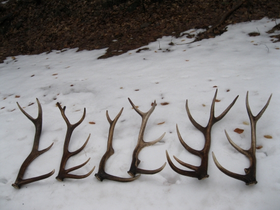 Dnešná prechádzka s kamarátom