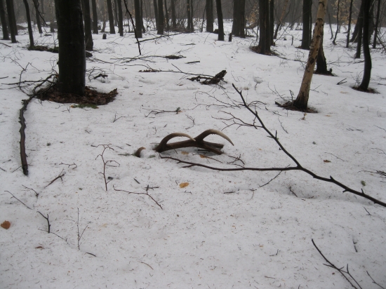 Jeden zo štvrtkových